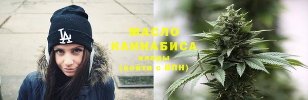 шишки Надым