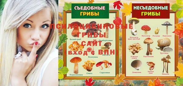 эйфоретик Алексин